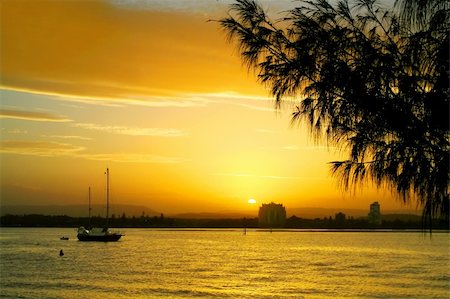 simsearch:400-05255037,k - Sun sets over water against a silhoutte casuarina tree. Stock Photo - Budget Royalty-Free & Subscription, Code: 400-04711382