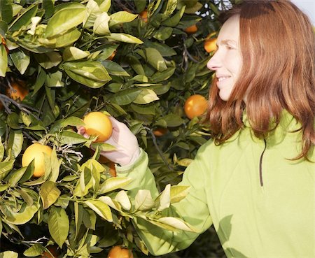 simsearch:400-04904209,k - orange tree field female farmer harvest picking fruits in mediterranean Spain Photographie de stock - Aubaine LD & Abonnement, Code: 400-04712103