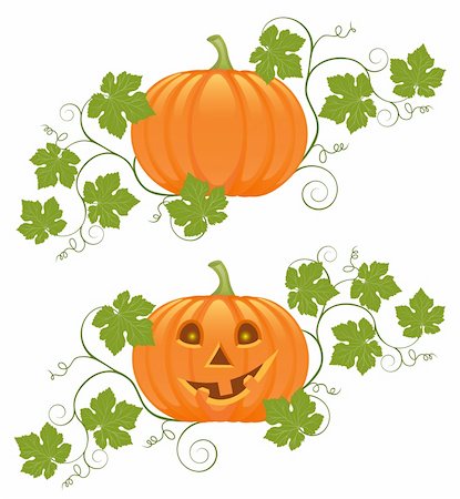 pumpkin leaf pattern - Floral ornament with a pumpkin. Vector illustration. Photographie de stock - Aubaine LD & Abonnement, Code: 400-04712621