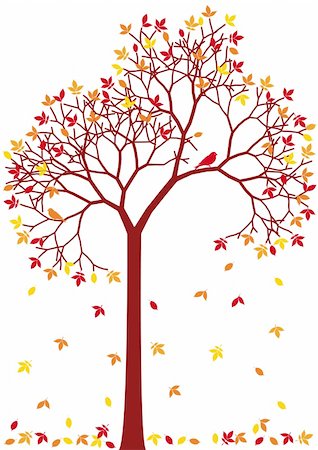 simsearch:400-06179170,k - autumn tree with colorful falling leaves, vector Stock Photo - Budget Royalty-Free & Subscription, Code: 400-04712828