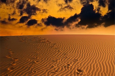 sahara desert terrain - evening over Sahara desert Stock Photo - Budget Royalty-Free & Subscription, Code: 400-04713106