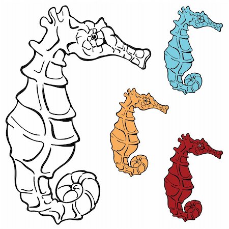 simsearch:400-04849381,k - An image of a seahorse. Foto de stock - Super Valor sin royalties y Suscripción, Código: 400-04713655