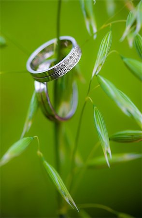 simsearch:400-05161652,k - Wedding rings and rye Photographie de stock - Aubaine LD & Abonnement, Code: 400-04713975