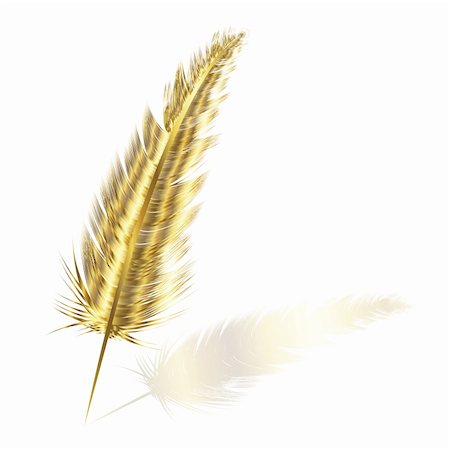 patterns of falling feather - golden feather Stock Photo - Budget Royalty-Free & Subscription, Code: 400-04724958