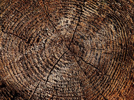 simsearch:400-05133815,k - wooden cut texture of tree stump brown Stockbilder - Microstock & Abonnement, Bildnummer: 400-04726897