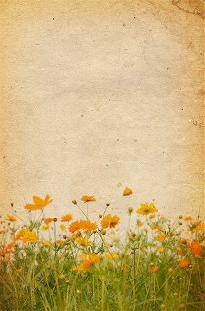 simsearch:400-04086179,k - old flower paper textures - perfect background with space for text or image Foto de stock - Super Valor sin royalties y Suscripción, Código: 400-04727098