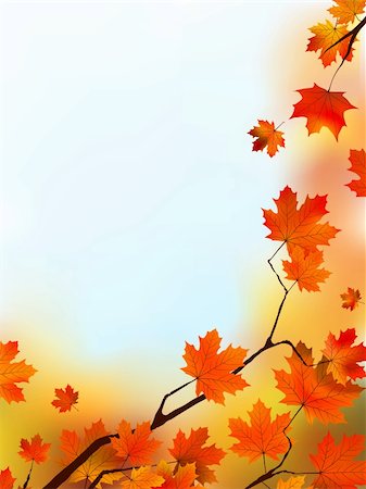 simsearch:400-04983103,k - Maple Tree Leaves against blue sky. EPS 8 vector file included Fotografie stock - Microstock e Abbonamento, Codice: 400-04727856