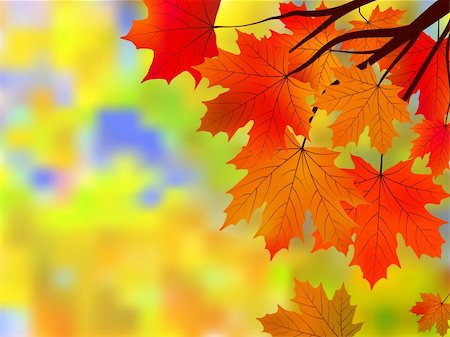 simsearch:400-07036352,k - Bright autumn leaves in the natural environment. EPS 8 vector file included Stockbilder - Microstock & Abonnement, Bildnummer: 400-04728247