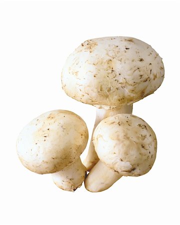 simsearch:400-07217319,k - Field mushrooms isolated on white background Stock Photo - Budget Royalty-Free & Subscription, Code: 400-04728655