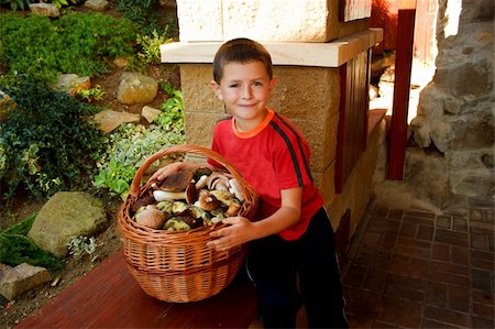 Small boy, mushroom picker with red Shirt Stock Photo - Budget Royalty-Free & Subscription, Code: 400-04729117