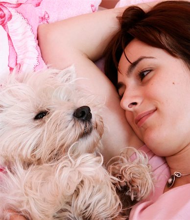 face down lying girl - Westie sleeping next to woman in bed . Stock Photo - Budget Royalty-Free & Subscription, Code: 400-04729629