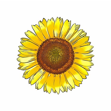 simsearch:400-05682398,k - An image of a beautiful painted comic sunflower Stock Photo - Budget Royalty-Free & Subscription, Code: 400-04729638