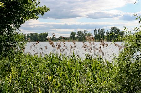The shore of Durowskie Lake, in a marvellous park, just a short walk from the city centre Photographie de stock - Aubaine LD & Abonnement, Code: 400-04729654