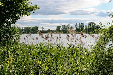 The shore of Durowskie Lake, in a marvellous park, just a short walk from the city centre Stock Photo - Budget Royalty-Free & Subscription, Code: 400-04729654