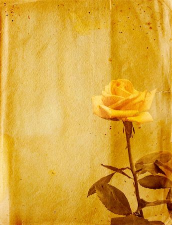 simsearch:400-04391304,k - Vintage grunge background with rose. Paper texture Photographie de stock - Aubaine LD & Abonnement, Code: 400-04729655