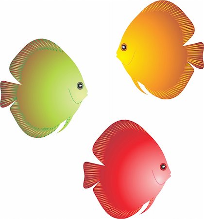 simsearch:400-05665760,k - Fish vector. Stock Photo - Budget Royalty-Free & Subscription, Code: 400-04720270