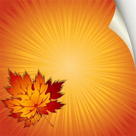 Autumn orange background with maple leaves Stock Photo - Budget Royalty-Free & Subscription, Code: 400-04720370