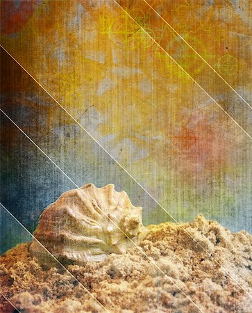 simsearch:400-07715201,k - Vacations - grunge background with shell. Paper texture Fotografie stock - Microstock e Abbonamento, Codice: 400-04720767