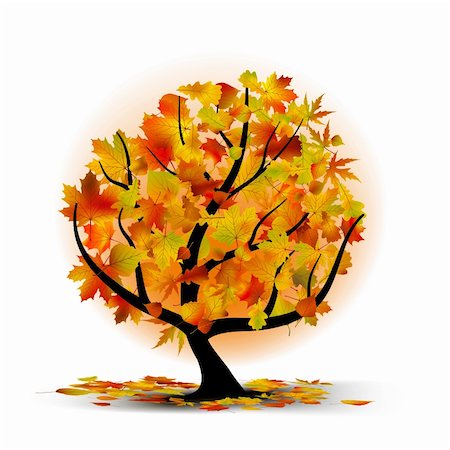 simsearch:400-06066227,k - Autumn tree with colourful leafs. EPS 8 vector file included Stock Photo - Budget Royalty-Free & Subscription, Code: 400-04720851
