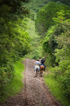 Tourists on horseback in Costa Rican cloud forest Stock Photo - Budget Royalty-Free & Subscription, Code: 400-04720888