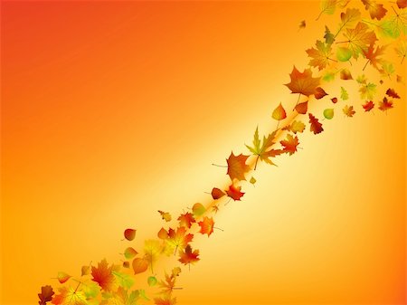 fall aspen leaves - Abstract autumn background. EPS 8 vector file included. Stock Photo - Budget Royalty-Free & Subscription, Code: 400-04722328
