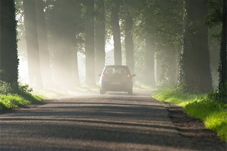 drive in fog - car disappearing in the morning mist Stock Photo - Budget Royalty-Free & Subscription, Code: 400-04723030