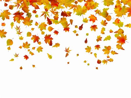 simsearch:400-06066227,k - Background of autumn leaves. EPS 8 vector file included Stock Photo - Budget Royalty-Free & Subscription, Code: 400-04723078