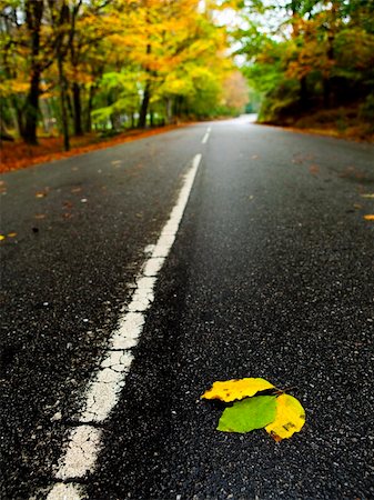 road landscape - Beautiful road with some colored autumn leafs Photographie de stock - Aubaine LD & Abonnement, Code: 400-04723837