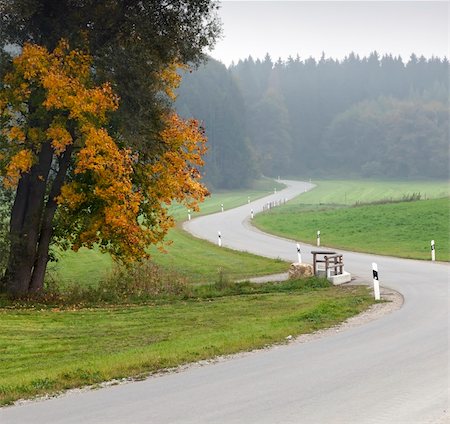 simsearch:400-04727178,k - An image of a beautiful landscape with fog in bavaria germany Foto de stock - Super Valor sin royalties y Suscripción, Código: 400-04734069