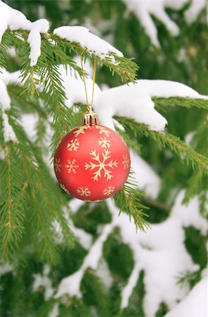 simsearch:400-04754736,k - Christmas ornament on a branch of a pine Photographie de stock - Aubaine LD & Abonnement, Code: 400-04734202