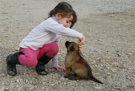 simsearch:400-04767909,k - little girl brushing your puppy belgian shepherd Foto de stock - Royalty-Free Super Valor e Assinatura, Número: 400-04734525