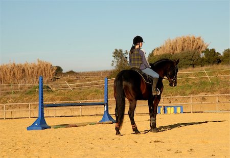 simsearch:400-06517682,k - young girl and her black stallion in a training of dressage Stock Photo - Budget Royalty-Free & Subscription, Code: 400-04734825