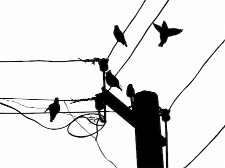 simsearch:400-07033341,k - vector silhouette of the waxwings on wire Foto de stock - Super Valor sin royalties y Suscripción, Código: 400-04734969