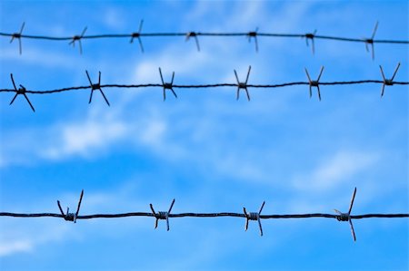 simsearch:400-05300192,k - Barbed Wire photographed against a background of blue cloudy sky. Focus on the front view Stock Photo - Budget Royalty-Free & Subscription, Code: 400-04735036