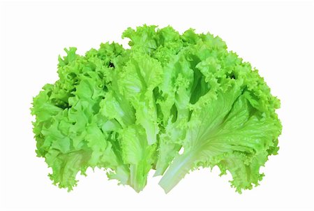 simsearch:400-04879197,k - fresh lettuce isolated on white background Stock Photo - Budget Royalty-Free & Subscription, Code: 400-04735127
