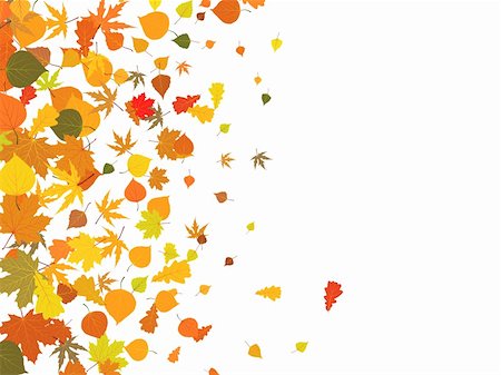 Fallen autumn leaves background. EPS 8 vector file included Stock Photo - Budget Royalty-Free & Subscription, Code: 400-04735323