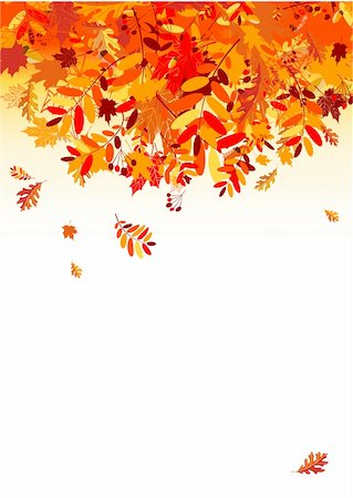 Autumn leaves background for your design Stock Photo - Budget Royalty-Free & Subscription, Code: 400-04735426