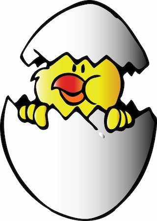 simsearch:400-04589626,k - Chicken in eggon a white background.Vector Foto de stock - Super Valor sin royalties y Suscripción, Código: 400-04735681