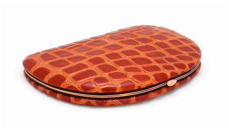 simsearch:400-06746663,k - Cosmetics bag from the skin of crocodile Foto de stock - Royalty-Free Super Valor e Assinatura, Número: 400-04735781