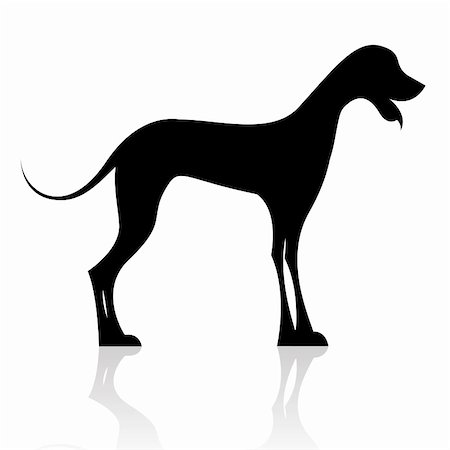illustration of black dog silhouette on isolated background Photographie de stock - Aubaine LD & Abonnement, Code: 400-04735862