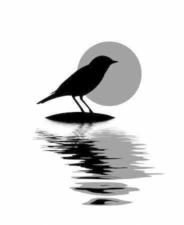 vector silhouette of the bird on stone amongst water Stock Photo - Budget Royalty-Free & Subscription, Code: 400-04735902