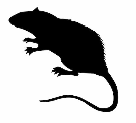 simsearch:400-05265453,k - Vektor Silhouette von der Ratte auf weißem Hintergrund Stockbilder - Microstock & Abonnement, Bildnummer: 400-04735947