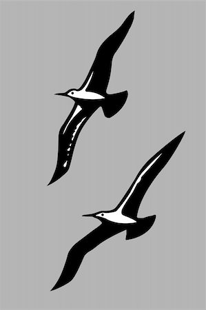 petrel - vector silhouettes of the sea birds Stock Photo - Budget Royalty-Free & Subscription, Code: 400-04735952