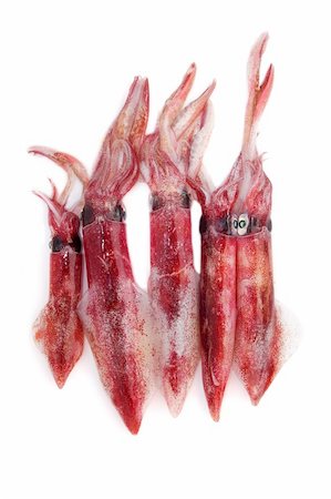 fresh squid Loligo vulgaris seafood catch on white background Photographie de stock - Aubaine LD & Abonnement, Code: 400-04736341