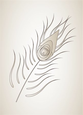 plumage vector - Silhouette of peacock feather. Isolated on beige background. Vector. Stock Photo - Budget Royalty-Free & Subscription, Code: 400-04737050