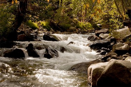 fall aspen leaves - A creek and small waterfall meander throught Aspens during fall in the mountains of California Stock Photo - Budget Royalty-Free & Subscription, Code: 400-04737112
