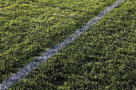 A white line in the grass of a sunlit sports field. Stock Photo - Budget Royalty-Free & Subscription, Code: 400-04737206