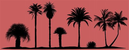 Collection of vector palm trees silhouettes Stock Photo - Budget Royalty-Free & Subscription, Code: 400-04738995
