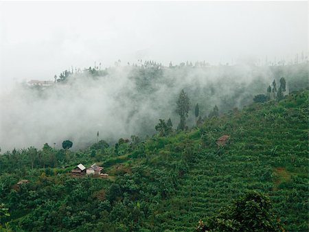 simsearch:400-05694686,k - Fog in Balinese mountains Foto de stock - Super Valor sin royalties y Suscripción, Código: 400-04739159