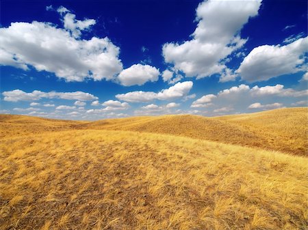 simsearch:400-06856670,k - Yellow fields and bright blue sky. South Ural mountains, Russia. Photographie de stock - Aubaine LD & Abonnement, Code: 400-04739175